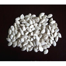 New Crop Snow White Pumpkin Seeds Grade 1